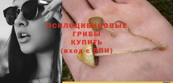 эйфоретик Алексеевка