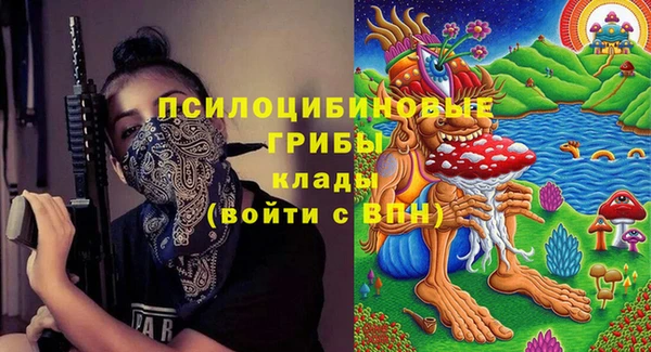 спайс Алексин