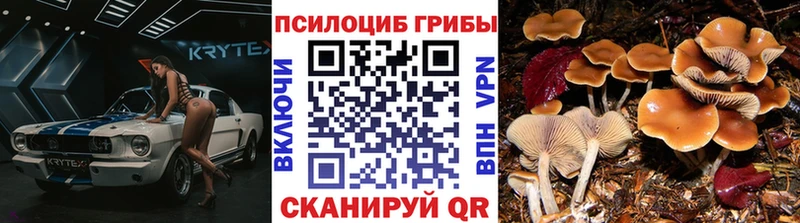 Галлюциногенные грибы Psilocybine cubensis Чухлома