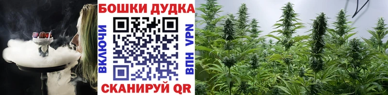 МАРИХУАНА сатива  ОМГ ОМГ зеркало  Чухлома 